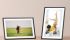 Lexar 11"" Pexar Digital Picture Frame, 2K Touchscreen, 32GB Storage (Expandable via SD Card/USB), Wi-Fi
